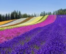 北海道の旅行の計画などお手伝いをします 北海道の観光業界に２０年在籍しています！！ イメージ1