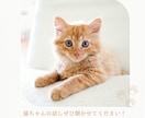 疲れた心を優しく包み込みます ☘️心のオアシス☘️　不安・悩み　ケージェイが聞きます　低音 イメージ4