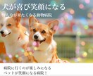 Wixホームページ制作します 格安で即日HPが必要な方はお問い合わせください！ イメージ7
