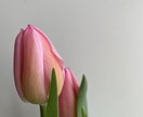 波乱万丈70代の私があなたのお悩みに耳を傾けます 今、有るその心のモヤモヤを私に吐き出してみませんか？ イメージ9