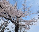 人生を豊かに彩る大人のパートナー探しご相談のります 「今さら」なんて言わないで最高のパートナーを見つけませんか？ イメージ10
