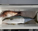 釣り初心者の方へ 希望に合わせてアドバイスします 釣歴２５年の私が道具、エサ、釣り方、場所などアドバイスします イメージ3