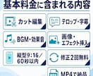 YouTubeショート動画を編集します テンポの良い見やすいショート動画に仕上げます！ イメージ3