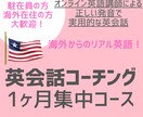 中学英語で“伝わる英語”の習得を叶えます オンライン英語講師による1ヶ月英語学習サポート イメージ1
