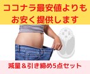 ココナラ最低価格以下！減量テキスト5点提供します この5点が有れば基本的な減量知識は身につきます イメージ1