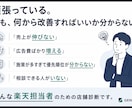 楽天店舗を現場目線で診断します 16年の現場経験から改善の優先順位を具体化します イメージ2