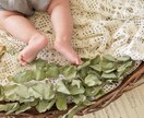 子宝占い専門　手の写真からあなたの色を視ます ～手に宿る光と命運が導く授かるタイミングを紐解きます～ イメージ4