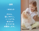 どうでもよくない、どうでもいいこと聞きます 「（どうでもよくない）どうでもいいこと」話してみませんか？ イメージ5