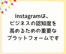 必ずお金になる日本人フォロワー１００人増やします Instagram日本人フォロワー+100人増加 イメージ3