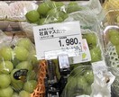 西洋占星術であなたの人生を占います 人生や適職、恋愛結婚、海外移住などさまざまなことを占います イメージ1
