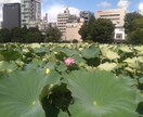 写真撮るのが好きです。よろしくお願いします 写真撮るの好きです。よろしくお願いします。 イメージ3