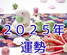 1月特別価格！！2025年の運勢をお伝えします アドバイス付き！数秘・霊感タロットで見るあなたの2025年！ イメージ1