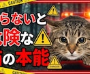 新規10名様まで格安で受付いたします マーケティング法則に沿った画像生成 イメージ7