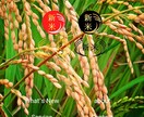 とりあえずホームページを持ちたい方！早く作ります 画像と文章を入れ換えるだけ！サンプル各種あります！ イメージ9