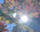 話したかったスピリチュアルなお話聴きます あなたの体験、日々のことお聴かせくださいませ＾＾ イメージ1