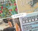 ０から始めるサムネの作り方・デザインをお教えします 自作デザインでサムネイルや店舗POPを効率化したい方に！ イメージ3