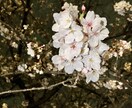 発達にお困りの保護者の方の相談にのります 一人で悩まず相談してみませんか? イメージ1
