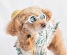 遊びながら撮る！わんちゃんと家族の記念を撮ります 大切な家族のわんちゃんとの、一生の思い出をプロが撮影します。 イメージ1