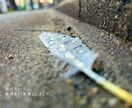 出版経験ありの現役詩人があなたの写真に詩を書きます あなたの写真の魅力を現役の詩人が詩で引き出します イメージ3