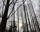 寄り添い、心を整えるための相談・お話相手になります 穏やかで落ち着いた話し方です。まとまらない話も気にせずどうぞ イメージ1