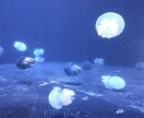 心の悩み聞きます モヤモヤした気持ちを晴らしましょう♪ イメージ1