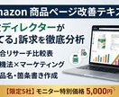 Amazon商品ページ改善、売れる訴求を分析します 現役ディレクターが競合比較とライティングでCVRを高めます イメージ1