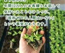 トークルームであなたの長所お伝えします ひとりでは難しい自己肯定感の底上げ、お手伝い致します。 イメージ2