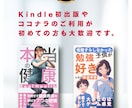修正無制限Kindle(電子書籍)の表紙を作ります 写真、イラストなしでも大丈夫、目立つ表紙を作成します イメージ5