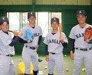 投球、打撃にお悩みの方にアドバイスします 初心者でもオススメ！投球、打撃指導！ イメージ1