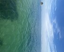 今日どんな日？気になる1日運鑑定します 今日1日の運勢を【強力霊感、霊視、タロット】で鑑定します。 イメージ7