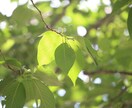 どんな悩みも聞きます 心も身体もすっきりしましょう！ イメージ4