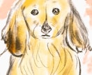 ゆるくて可愛いワンちゃんイラスト描きます ゆるくて優しいタッチの手描きデジタルイラストです イメージ5