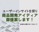 ユーザーインサイトに合わせた商品開発の提案します ユーザーの体験価値やインサイトを探り、求めているものを提案！ イメージ1