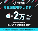 TikTokの再生回数を2万再生増やします ⭐️3名様限定価格⭐️2万再生増加⭐️高品質 イメージ1