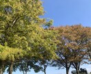 京都弁20代OL☺️あなたの心にふんわり寄添います のんびりお話しして心を軽くしませんか？☺️ イメージ1
