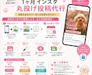 月4回8千円で写真丸投げインスタ投稿代行します 1投稿＝1画像！写真を用意するだけでインスタ投稿代行 イメージ1