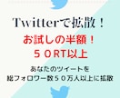 総フォロワー数５０万に１週間～１ヵ月宣伝ます Twitterであなたのツイートを宣伝拡散（５０RT以上） イメージ1