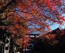 あなたの心を軽くします 日中のうちに心のトゲを抜く、Rayの魔法の時間 イメージ7