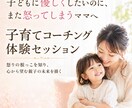 子育ての個別相談承りますます 元保育園・療育施設勤務・子育て支援員が個別で寄り添います イメージ2