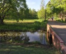 水元公園のフィッシングポイント伝授します 葛飾区随一の淡水小物釣り場水元公園の釣り場釣り方を教えます! イメージ3