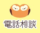 電話在宅介護をされているご家族の方におすすめします リピーター専用　在宅・施設介護家族の方の悩みをお聴かせ下さい イメージ1