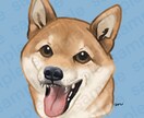 ペットのデフォルメ似顔絵描きます うちの子を可愛いイラストにしてみませんか？ イメージ3