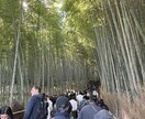 大阪在住 物件周辺の現地調査を代行します 現地のリアルな情報をお届けします。 イメージ2