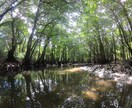 オススメ旅行プラン考えます 時間を考えたワクワクする旅行計画をお立てします！ イメージ4
