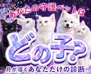 あなたを見守る守護ペットを診断します 月灯りが導くあなただけの守護ペット イメージ1