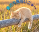 やさしい光で包み込む《ペットヒーリング》行います あなたの大切な家族（ペット）に、心からの癒しを届けます。 イメージ2