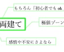 両建てゴールド手法を紹介します 完全パッケージ　￥100,000円 イメージ5