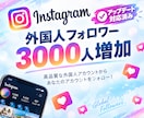 Instagramの外国人フォロワーを増加します 複数垢に振り分けのインスタフォロワー増加も対応！ イメージ7