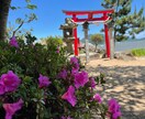 鑑定歴16年の私がお相手の気持ちを視ます 誰にも言えない恋の想いに寄り添います イメージ3