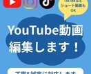 YouTube動画編集します 丁寧さ重視で、心を込めて編集します。 イメージ1